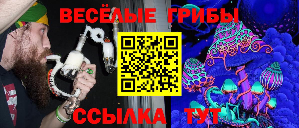 Галлюциногенные грибы мухоморы Тавда
