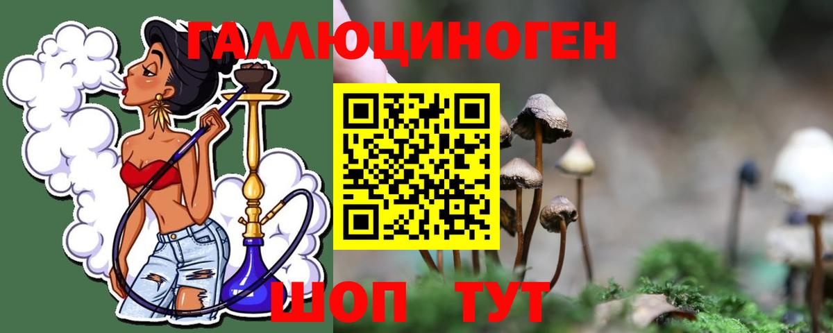 Псилоцибиновые грибы Psilocybe  Псилоцибиновые грибы Psilocybine cubensis  Вход с VPN  Тавда 